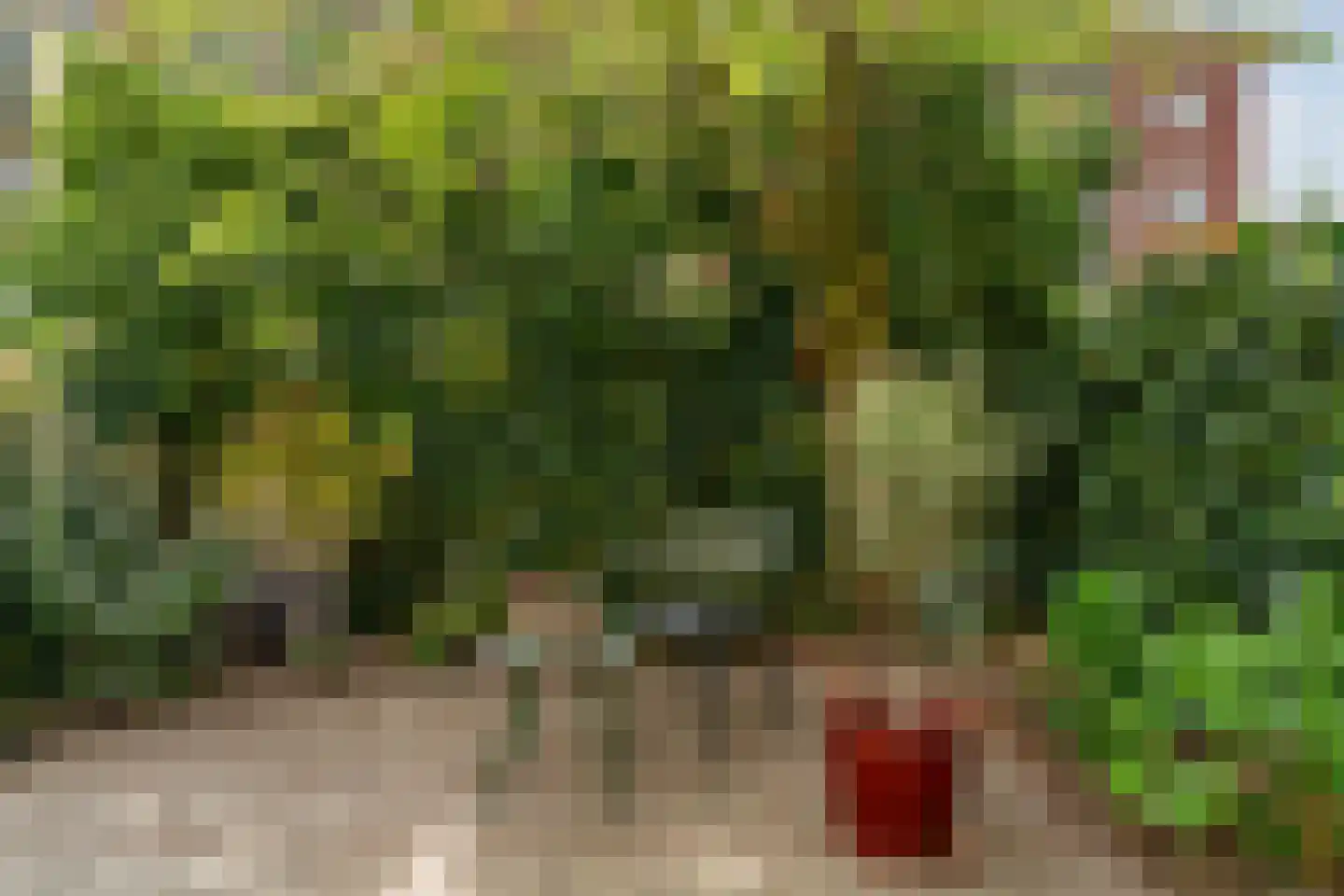 Delle Alpihof 6 Amsterdam thumbnail 11