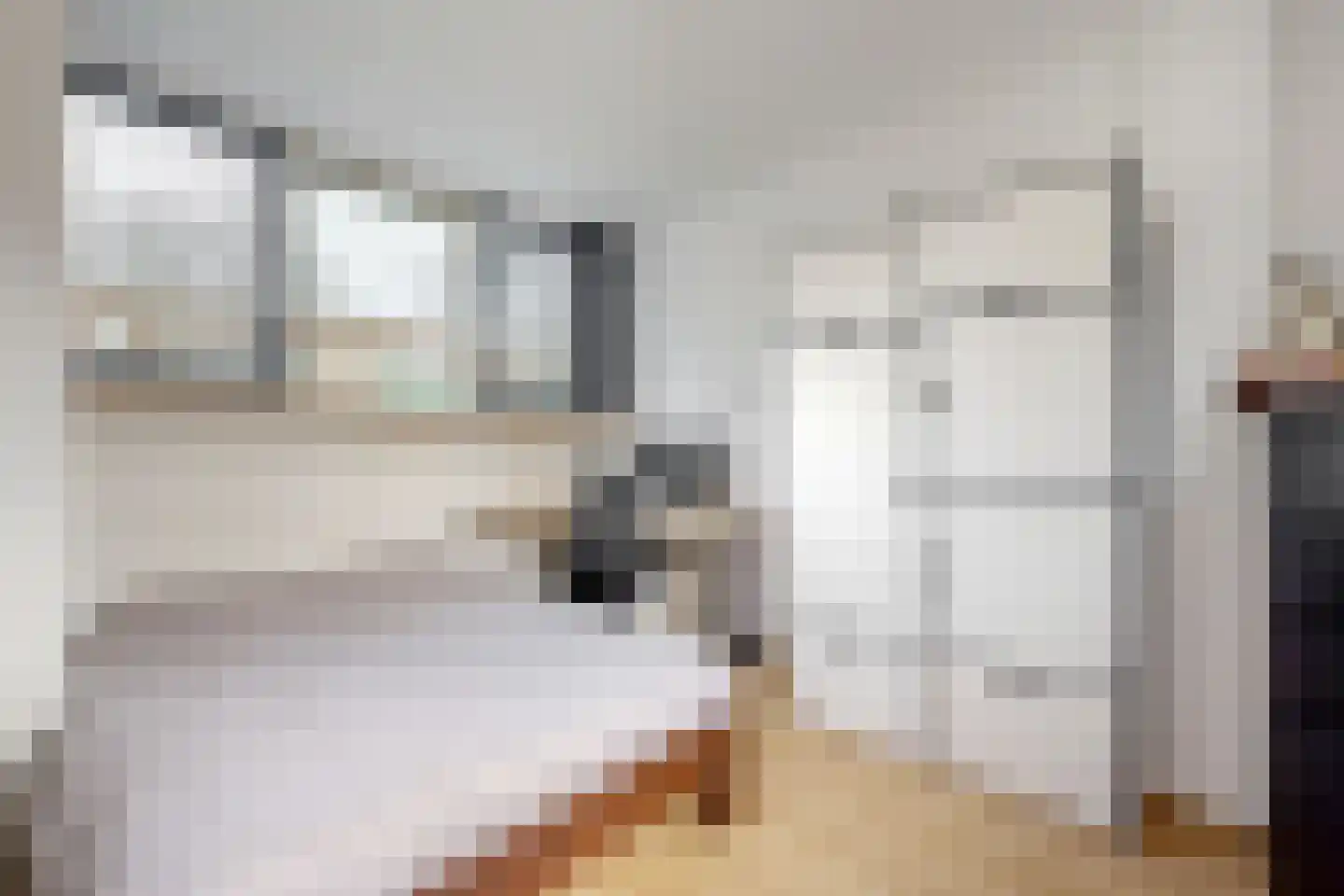Delle Alpihof 6 Amsterdam thumbnail 16