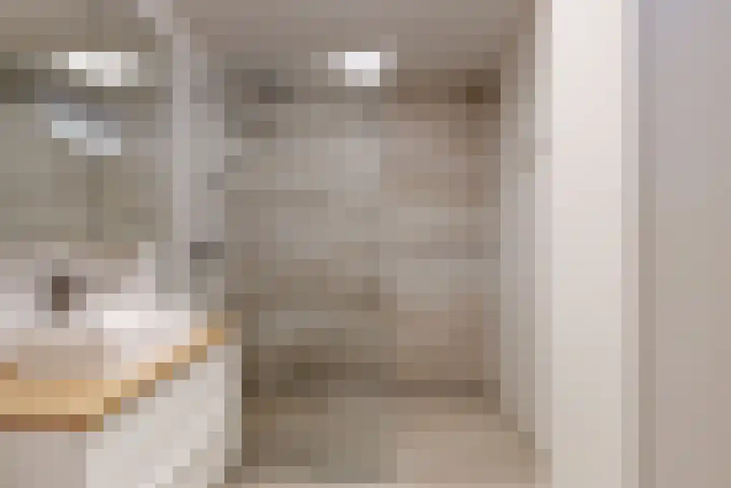 Delle Alpihof 6 Amsterdam thumbnail 5