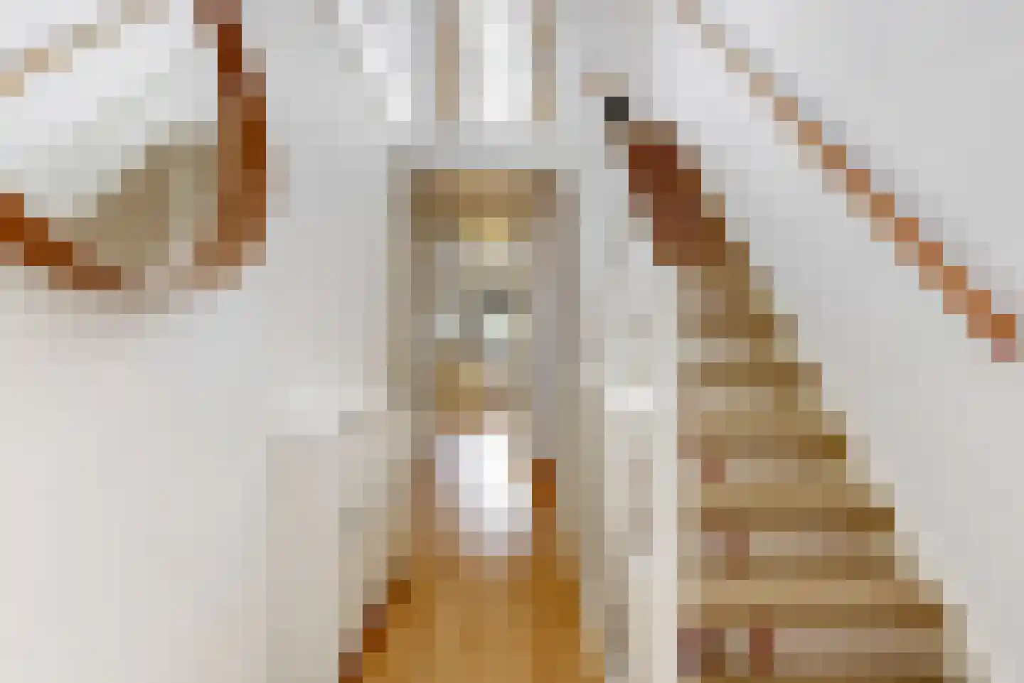 Delle Alpihof 6 Amsterdam thumbnail 6