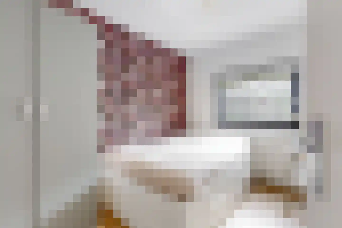 Delle Alpihof 6 Amsterdam thumbnail 8