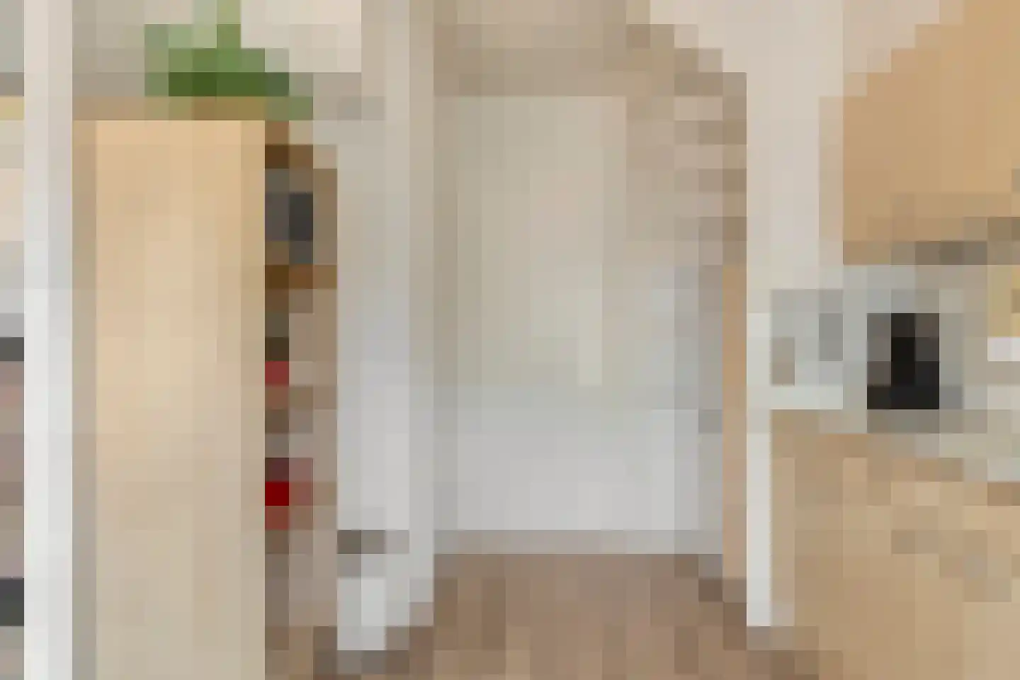 Dellenbeekstraat 54 Oldenzaal thumbnail 9