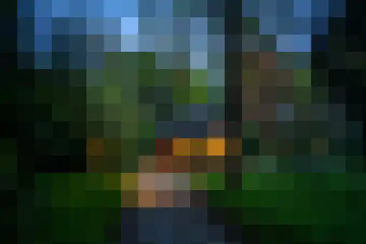 Dellenparkweg 11 Epe thumbnail 25