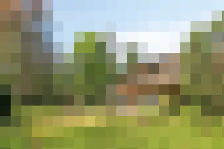 Dellenparkweg 11 Epe thumbnail 28