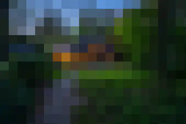 Dellenparkweg 11 Epe thumbnail 29