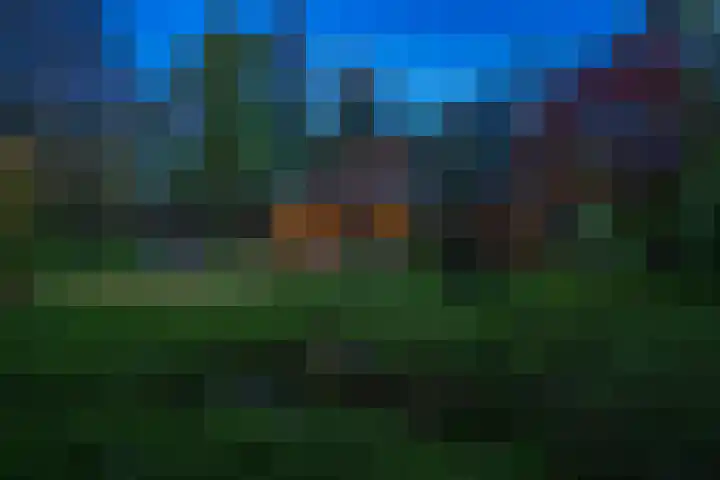 Dellenparkweg 11 Epe thumbnail 32