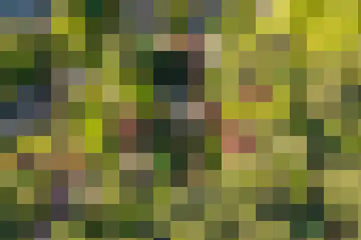 Dellenparkweg 11 Epe thumbnail 33