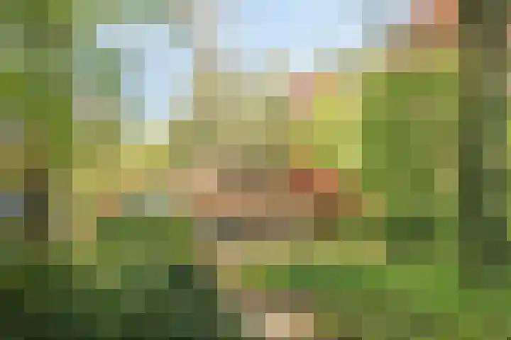 Dellenparkweg 11 Epe thumbnail 42