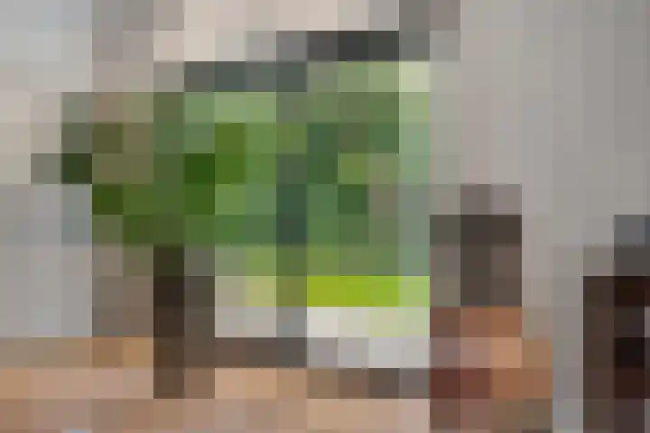 Dellenweg 2 Epe thumbnail 13