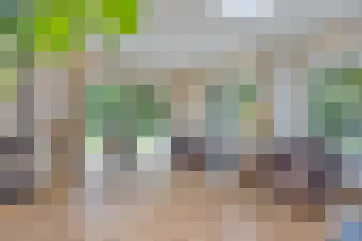 Dellenweg 2 Epe thumbnail 18