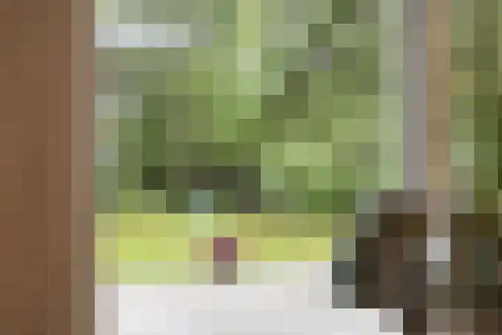 Dellenweg 2 Epe thumbnail 21