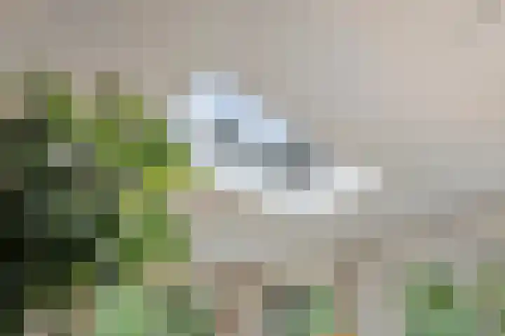 Dellenweg 2 Epe thumbnail 22