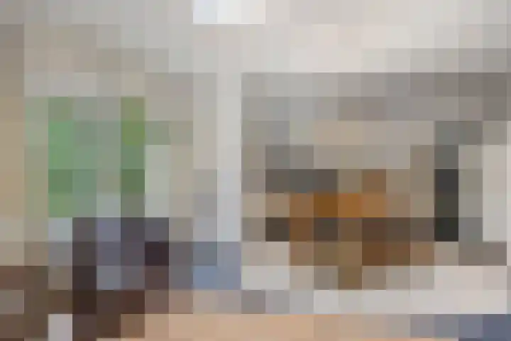 Dellenweg 2 Epe thumbnail 23