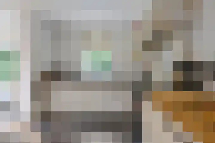 Dellenweg 2 Epe thumbnail 25