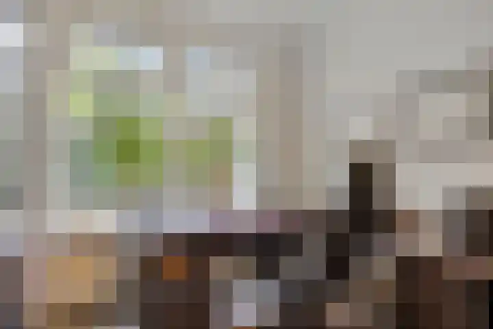 Dellenweg 2 Epe thumbnail 31