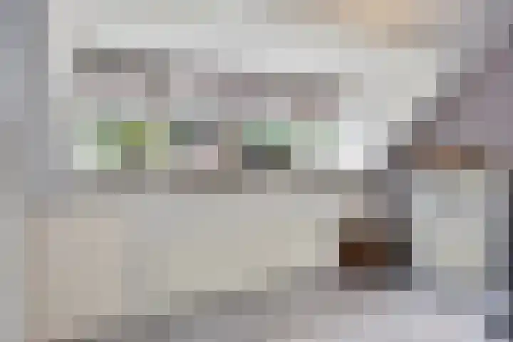 Dellenweg 2 Epe thumbnail 35