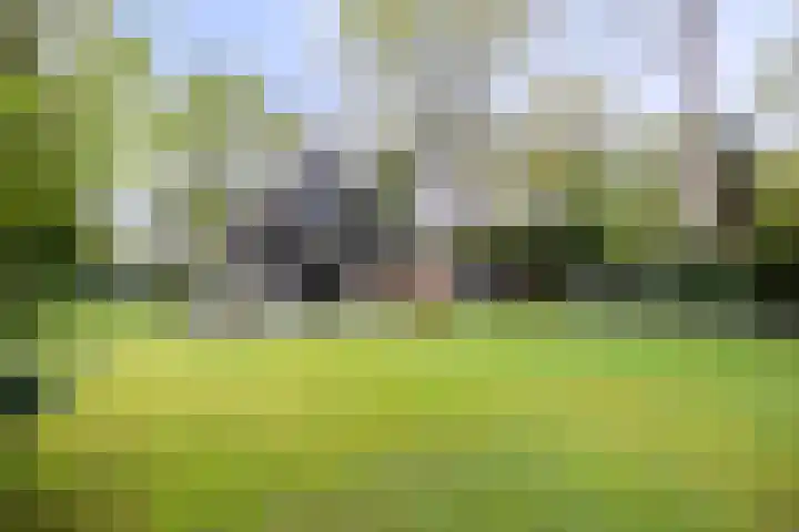 Dellenweg 2 Epe thumbnail 4