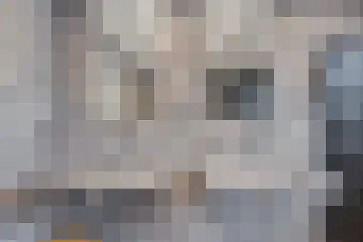 Dellenweg 2 Epe thumbnail 41