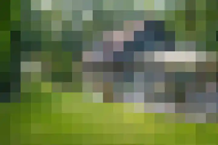 Dellenweg 2 Epe thumbnail 44