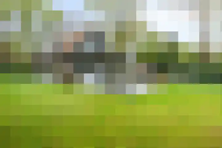 Dellenweg 2 Epe thumbnail 45