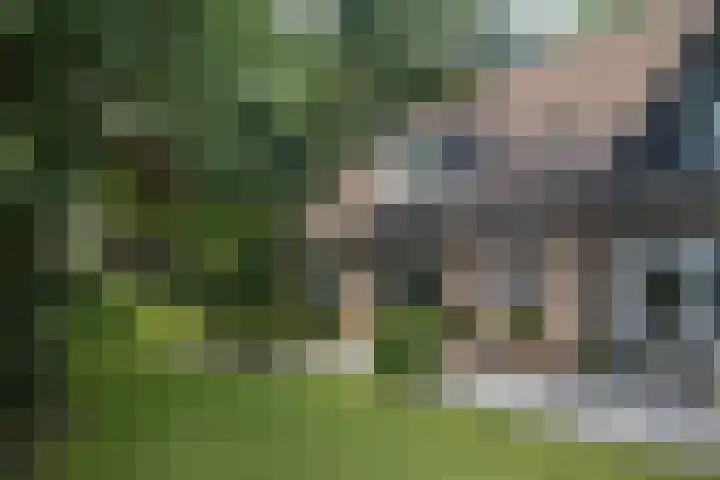 Dellenweg 2 Epe thumbnail 46