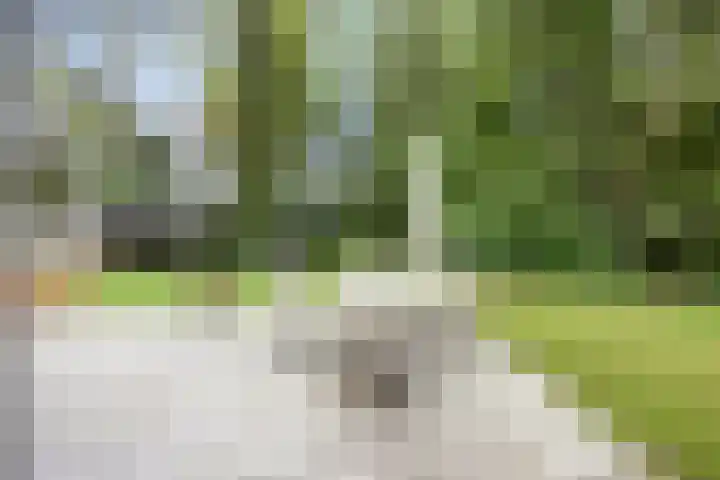 Dellenweg 2 Epe thumbnail 48