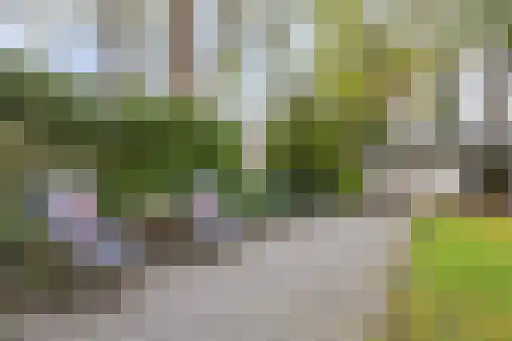 Dellenweg 2 Epe thumbnail 51