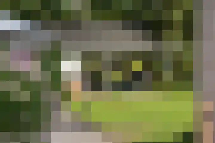 Dellenweg 2 Epe thumbnail 53