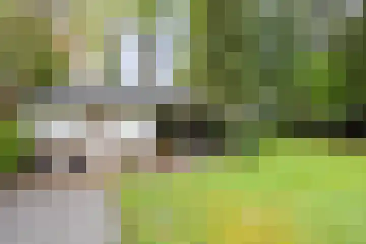 Dellenweg 2 Epe thumbnail 54