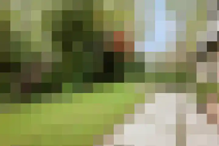 Dellenweg 2 Epe thumbnail 58