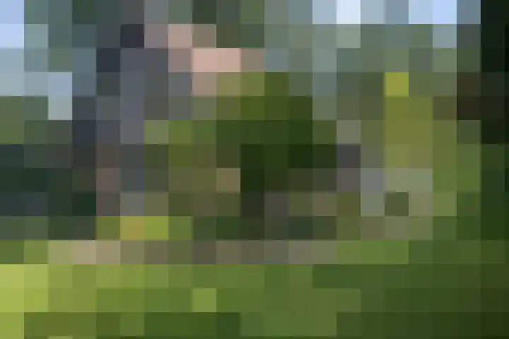 Dellenweg 2 Epe thumbnail 60