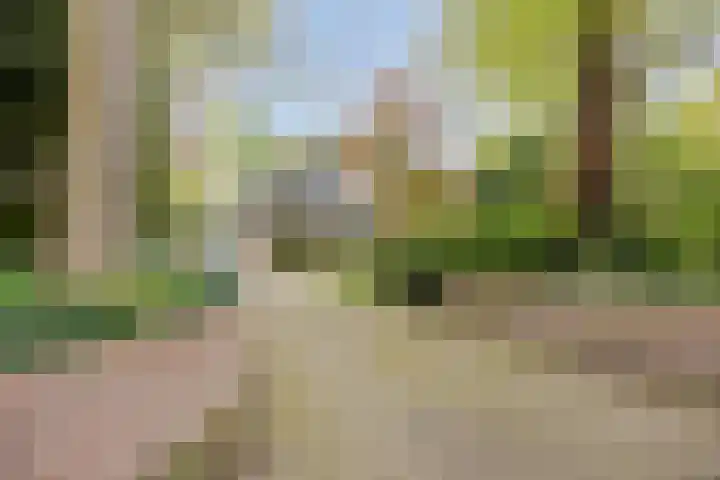 Dellenweg 2 Epe thumbnail 63