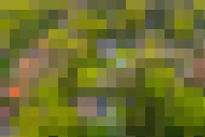 Dellenweg 2 Epe thumbnail 67