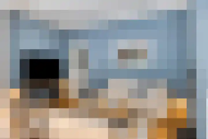Dellenweg 32 Epe thumbnail 12