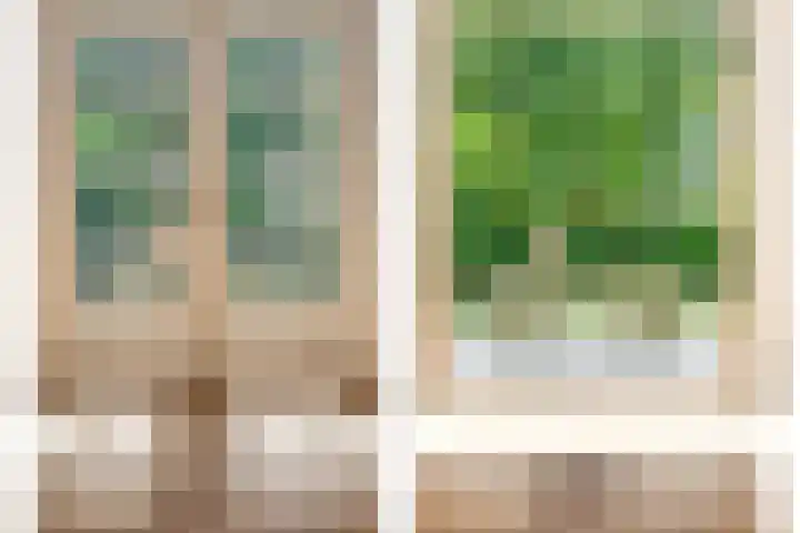 Dellenweg 32 Epe thumbnail 13