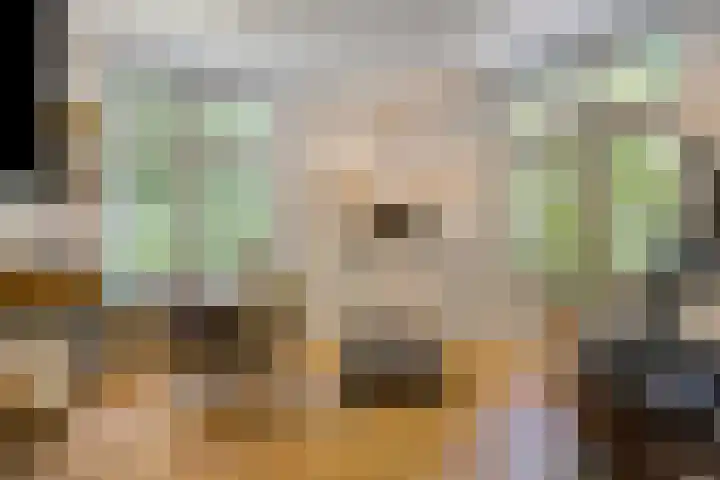 Dellenweg 32 Epe thumbnail 24