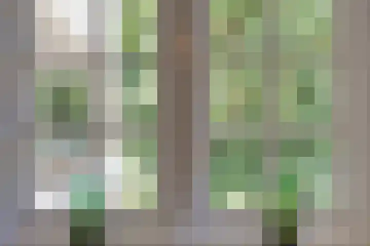 Dellenweg 32 Epe thumbnail 29