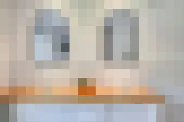 Dellenweg 32 Epe thumbnail 40