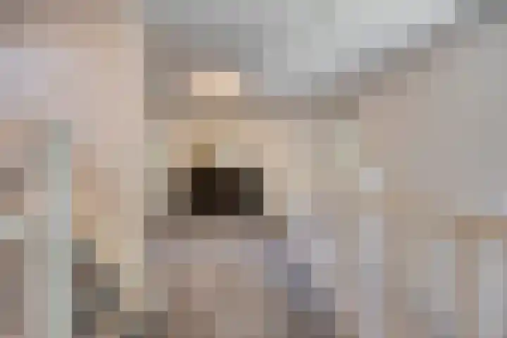 Dellenweg 32 Epe thumbnail 41
