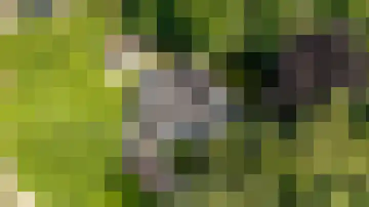 Dellenweg 32 Epe thumbnail 47