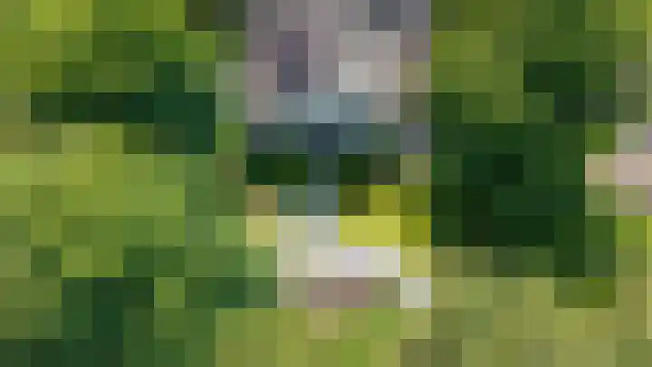 Dellenweg 32 Epe thumbnail 48