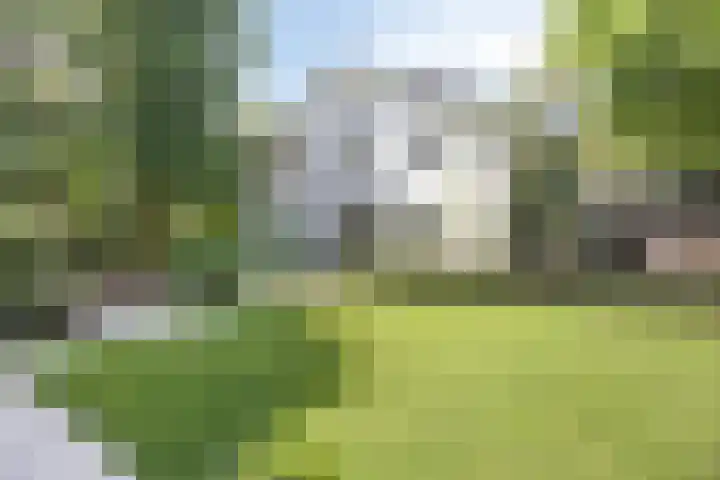 Dellenweg 32 Epe thumbnail 49