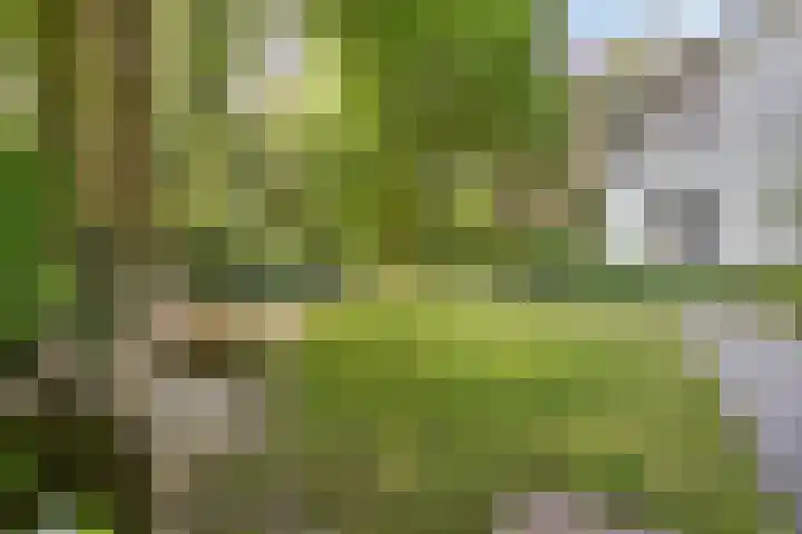 Dellenweg 32 Epe thumbnail 51