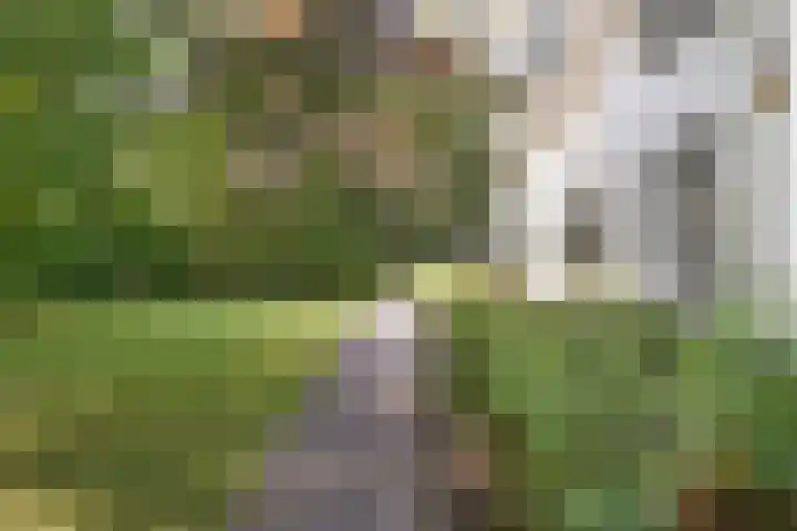 Dellenweg 32 Epe thumbnail 52