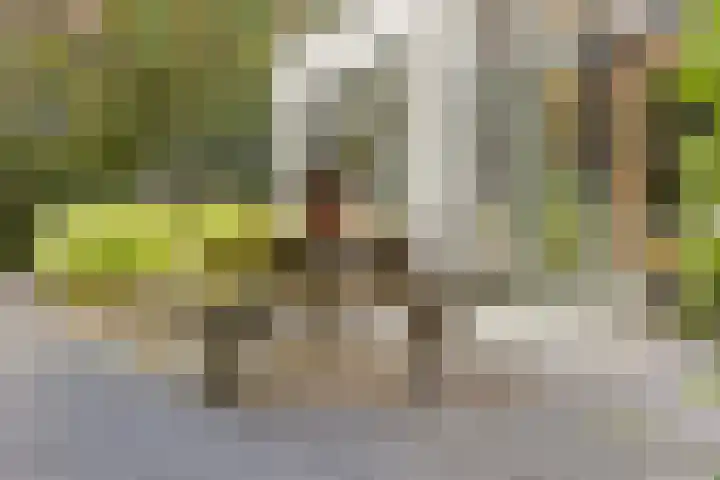 Dellenweg 32 Epe thumbnail 53