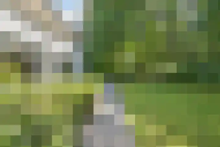 Dellenweg 32 Epe thumbnail 54