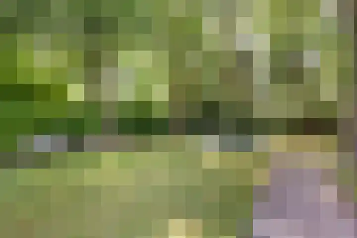 Dellenweg 32 Epe thumbnail 55