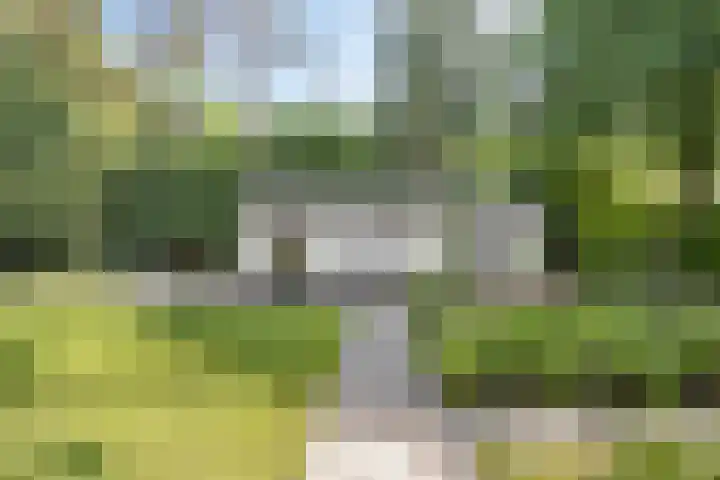 Dellenweg 32 Epe thumbnail 56