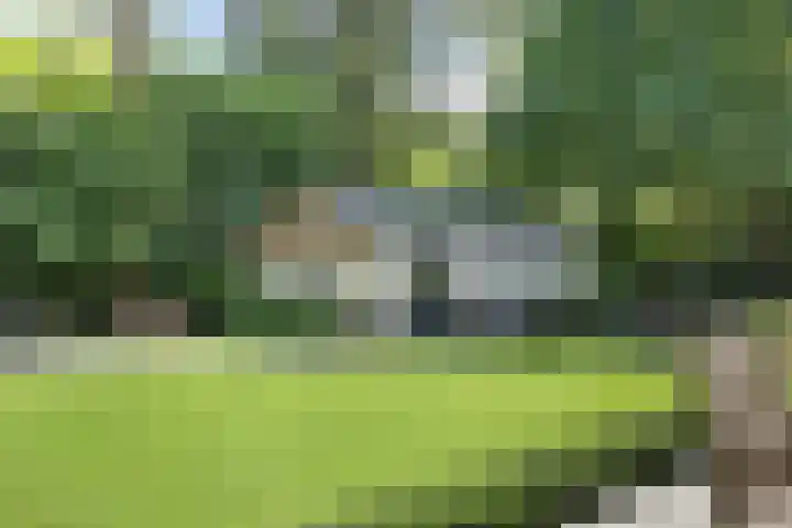 Dellenweg 32 Epe thumbnail 57