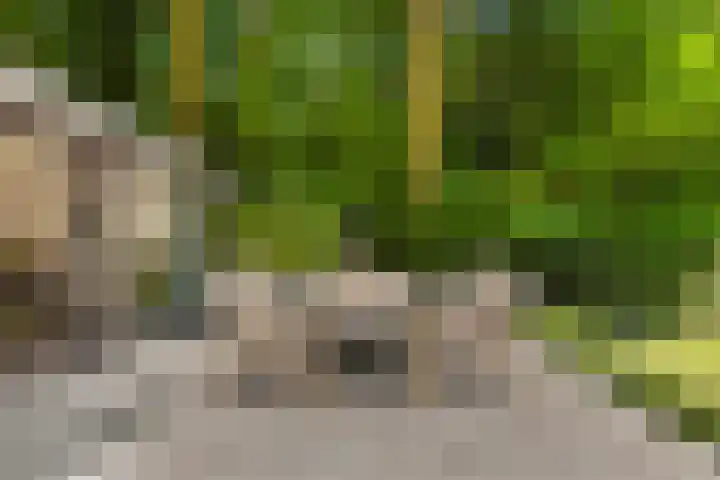 Dellenweg 32 Epe thumbnail 62